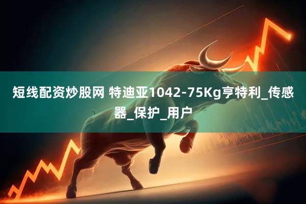 短线配资炒股网 特迪亚1042-75Kg亨特利_传感器_保护_用户