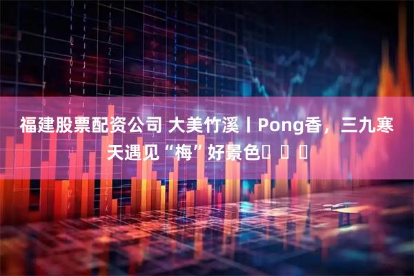 福建股票配资公司 大美竹溪丨Pong香，三九寒天遇见“梅”好景色ꕥꕥꕥ