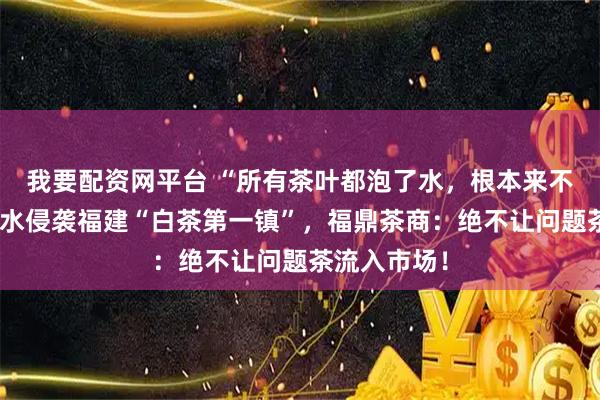 我要配资网平台 “所有茶叶都泡了水，根本来不及抢”，洪水侵袭福建“白茶第一镇”，福鼎茶商：绝不让问题茶流入市场！